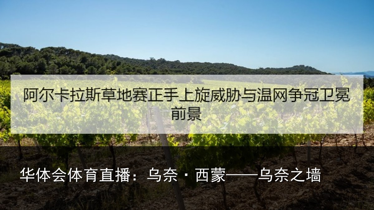 华体会体育直播:乌奈·西蒙——乌奈之墙